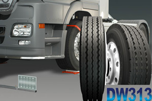 Грузовые шины Daewoo DW313