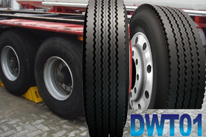 Грузовые шины Daewoo DWT01